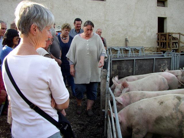 2011 09 24 Sortie ferme de la Noue 10